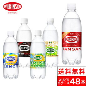 【送料無料】 ウィルキンソン 炭酸水 タンサン 500mlPET 選べる 炭酸水 500ml 送料無料 48本 プレーン レモン クラッシュグレフル ゼロコーラ クラッシュマスカット wilkinson 強炭酸 フレーバー 炭酸 ソーダ水 無糖