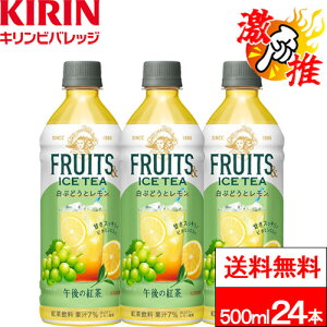 y  zy 1P[X z L ߌ̍g t[c&ACXeB[ Ԃǂƃ 500ml 24{ g ACXeB[ t[ceB[ r^~C SSeB[ ߌeB[