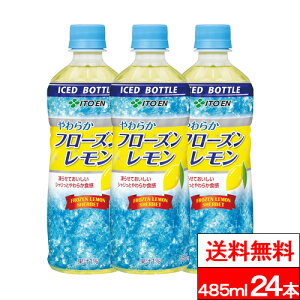 y  zy 1P[X zɓ t[Y 485g 24{ Ⓚ  MǑ΍ M ⋋ Ⓚ{g t[Y ACX{g 485ml