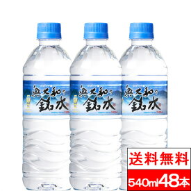 【今日だけ1/2最大100%P還元】【365日出荷】【送料無料】奥大和の銘水 540ml 24本 2箱（計48本）シリカ 軟水 国産 シリカウォーター お水 ミネラルウォーター ケイ素水 軟水 まとめ買い 大量 ペットボトル みず