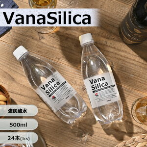 �Y�_�� 500ml �������� 24�{ ���� VanaSilica �o�i�V���J ���Y�_ �^���T�� �o�i�W�E�� �V���J �N���b�N�� �I���W�i�� ����� �܂Ƃߔ��� SODA PFOS PFOA PFAS �����ς� ���o���E�ȉ�
