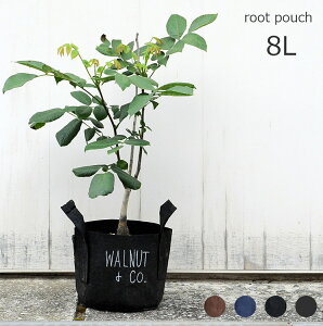 Aؔ [c|[` 8L a21cmysDz Jo[ v^[ K[fjO O[CeA ƒ؉ ϗtA 򍪐A A TCN VRf r ͂ y t