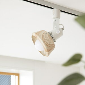 X|bgCg 1 ReB_NgyVƖ dC Ɩ led _Ng[p _CjOƖ Hp rOp Q ubN C_XgA jO C k  킢 C