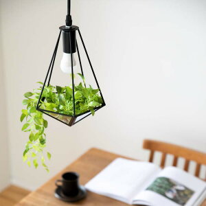 Ɩ LED Ή 1 y_gCg WFR Cg Ɩ VƖ dC Lb` eE ubN rO _CjO ԐڏƖ k tFCNO[ Ki gC ֏