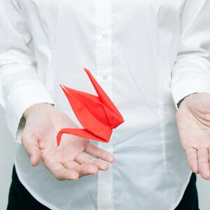 y[ցzpeti peto vb`ybgy`Lዾ@ N[i[ Kl Kl@ vb`ybg  yM Ђ _ 킢  G  蕨 Mtg a