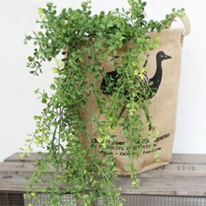 yȂ邷ztFCNO[ ۂtς̃ttyȂ邷 O[  t t tFCN K[h lHϗtA Ǌ| CeAO[ ϗtA  킢