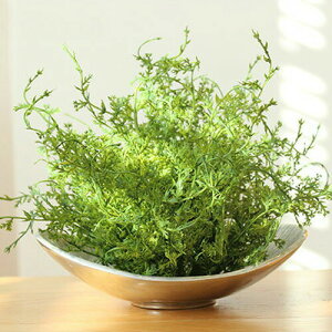 yȂ邷ztFCNO[ tth[yȂ邷 O[  t t tFCN K[h A[eBtBVO[ ~j ϗtA k CeAG 