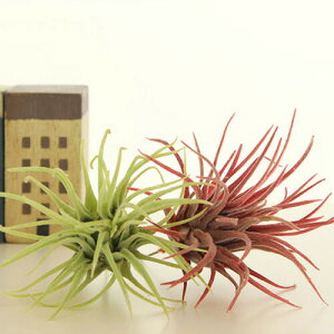 yȂ邷ztFCNO[ eBWA yȂ邷 O[  GA[vc `WA tFCN K[h A[eBtBVO[ Ǌ| ϗtA  