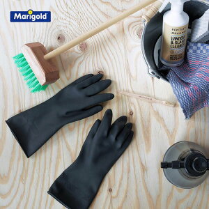 S }[S[h MARIGOLD K[fjOpyK[fjO  O[u S ^ AEghA _  x_ |   킢   j Mtg v`Mt