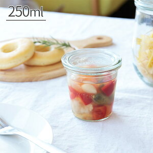 LjX^[ WECK EFbN [hVFCv 250mlyۑ e ۑe KX KXe    KXr Vv Lb`[ Lb` 䏊 eCXg 킢 