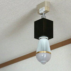 X|bgCg Woodȃ\PbgyVƖ dC CeA ԐڏƖ q qǂ Q xbh[ a a k i` Vv ؐ  Ɩ  킢 [