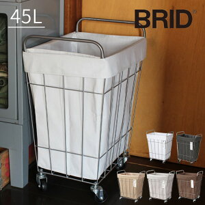 h[XNGAoXPbg 45Lye 45bg BRID ubh lp RpNg 􂢉 oXPbg  킢  Vv ubh 󕨓  JS 󂩂 