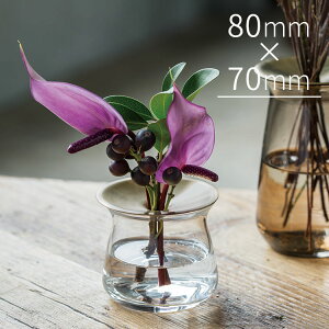 KINTO t[x[X LUNA 80×70mmyLg[ t[x[X Ԋ ԕr Ԃт ֑} Vv KX | A O[ k͔| k   v[g Mtg pI a k 