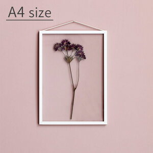 FRAME t[ A4TCY MOEBE [xyz z ` ʐ^ |X^[ Ǌ| ؐ  A~ AN I[N ubN zCg   mN Vv k CeAG  C