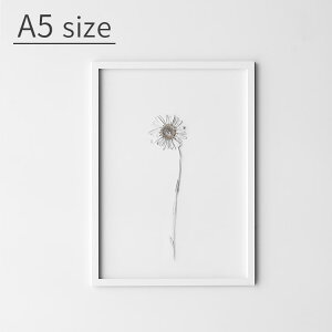 yFRAME t[ A5TCY MOEBE [xyz z ` ʐ^ |XgJ[h Ǌ| ؐ  A~ AN I[N ubN zCg   mN Vv k CeAG 