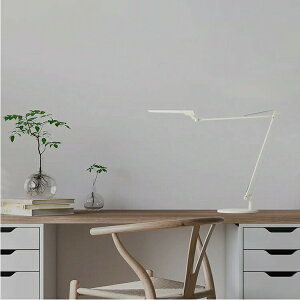 LEDIC EXARM DIVA GOU[ Cg fXNCg ドCg Ɩ { x[X^Cv px\ ^b`XXCb`t \ F\  Vv X^CbV Q 