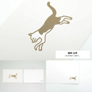 [p_CXV[Y] |XgJ[h lRp_CX L | ͂ t Postcard bZ[WJ[h CeA | clocomi | para-post-0002