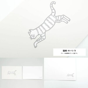 [p_CXV[Y] |XgJ[h lRp_CX L | ͂ t Postcard bZ[WJ[h CeA | clocomi | para-post-0002