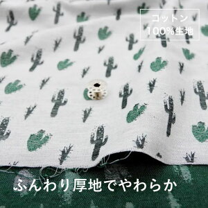 [Fanfaret@ubN] r̃T{e | nCNX n ₳ Rbg100% n113cm ʂsv Y  dBD WJ[hD | LbYExr[ l nhChɍœK | c