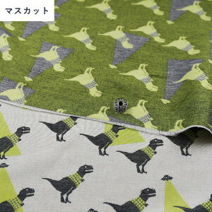 [Fanfaret@ubN] eBmTEX  | nCNX n ₳ Rbg100% n121cm ʂsv Y  dBD WJ[hD | LbYExr[ l nhCh