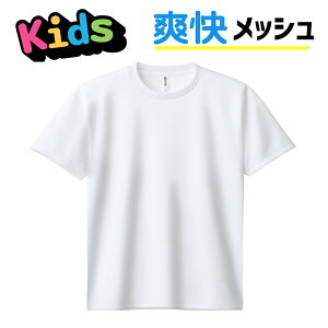 LbY bVTVc qp UV hC  00300-ACT 300act  U ʊw w ۈ牀 ct TbJ[ oXP qp `[ jtH[  Nu _X V  Jt j