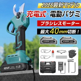 電動剪定ばさみ 充電式 剪定バサミ 剪定ばさみ電動 剪定ばさみ 充電式 バッテリー2個 電動ハサミ バッテリー残量表示 ブラシレスモーター 小型 軽量 開き口40mm 充電 開き角度調整可能 庭 園芸用 果樹用 家庭用 枝切り 女性用
