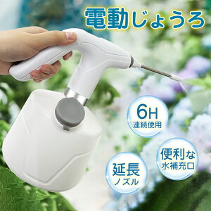  Xv[ dXv[ d傤  dXv[ d 2L e ʋ  Type-C[d dEH[^[Xv[ 傤 Xv[ | |  