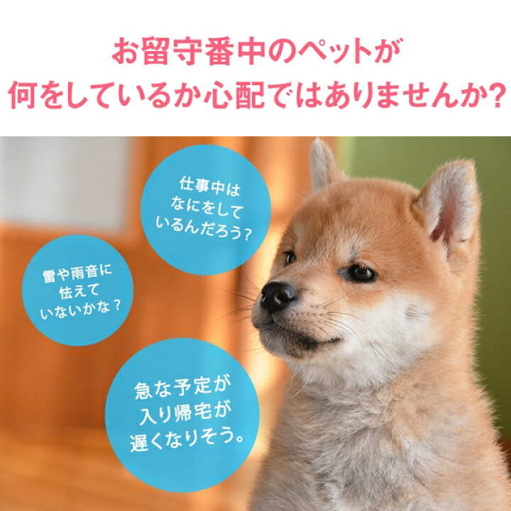楽天市場 トリートディスペンサーカメラ ドッグカメラ ペットカメラ ペット 会話 録音 簡単 スマホ Iphone アプリ 写真 動画 留守番 双方向会話 スマホ Iphone Android 対応 アカウント共有 Close Up