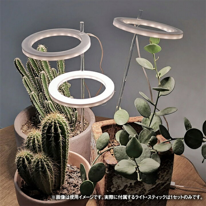 楽天市場】植物育成ライト one head 植物ライト LED成長ライト 屋内 