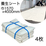 ＼P＋20倍＆クーポン配布／【5/9～土日&お買いものマラソン】土日限定ポイント＋20倍／◎即日発送 肉厚 …