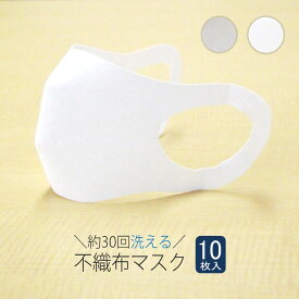 夏用 マスク 30回洗って使える エボロンの不織布マスク 10枚入り 日本製 ひんやり 快適 涼しい おすすめ 人気
