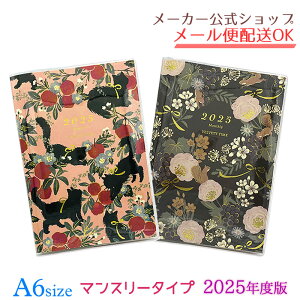 yZ[iz蒠 2025 XPW[ 2024N10n܂ 2025NxŃ_CA[ Tomoko Hayashi/Velvety timeEgR A6 }X[^Cviԁj@l킢y[J[^N[Ysz