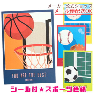 V[tX|[cF@싅EoXPbg{[ETbJ[Eo[{[ bZ[WV[30fR[VV[16 l Nu EEcE񂹏ELOiE