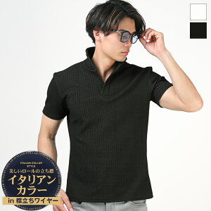 yz|Vc  Y t  C^AJ[ X^hJ[ n WOUO ӂWK[h ʉ C[  StEFA zCg ubN M L XL aa-3092