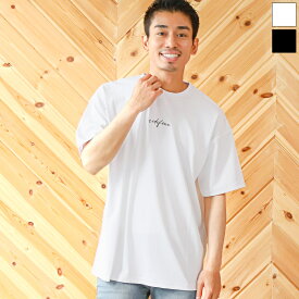 Tシャツ メンズ 半袖 バックプリント フォト ロゴ 羽根【バックフォトプリント半袖Tシャツ】メンズTシャツ 半袖Tシャツ カットソー ビッグシルエット フォトプリント クルーネック ホワイト ブラック ゆったり ルーズ ストリート aa-2611