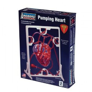 l̖͌^p[cS(蓮|sOt)@ho[O