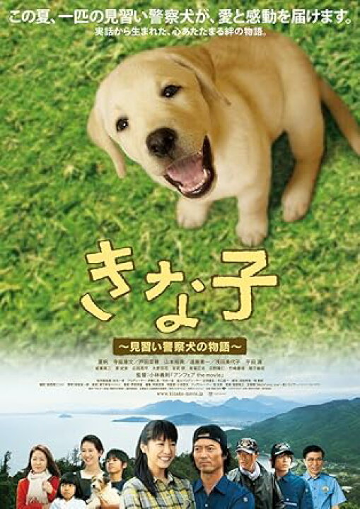 楽天市場】[新品]きな子~見習い警察犬の物語~ [DVD] : クロソイド屋 