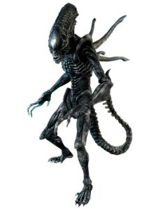Movie Masterpiece AVP2 GCAEEH[A[ ( 1/6XP[tBMA) zbggCY