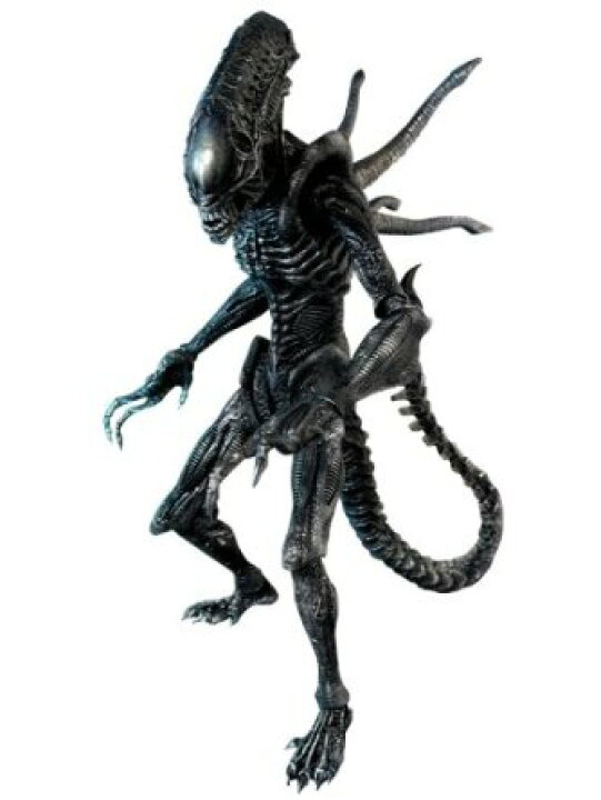 楽天市場】Movie Masterpiece AVP2 エイリアン・ウォーリアー ( 1/6 