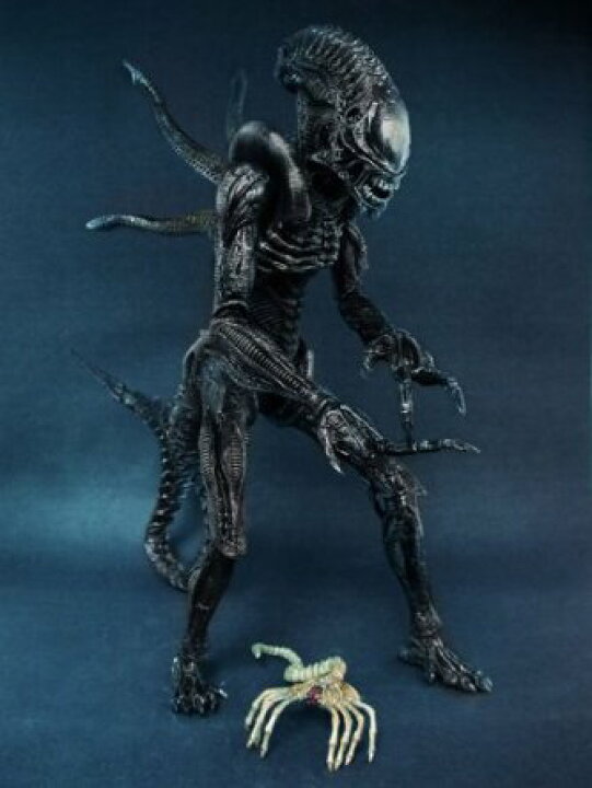 楽天市場】Movie Masterpiece AVP2 エイリアン・ウォーリアー ( 1/6 