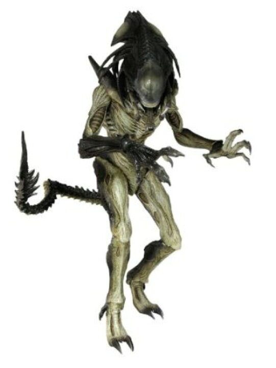 楽天市場】Movie Masterpiece AVP2 プレデリアン ( 1/6スケール 