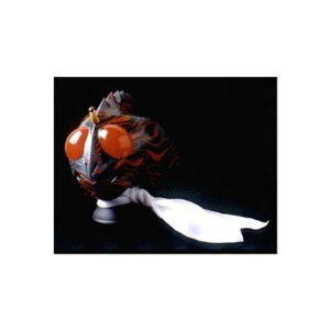 RMW ʃC_[A}] 1/2}XN@fBREgC