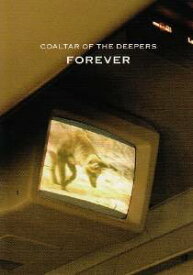 FOREVER [DVD]　COALTAR OF THE DEEPERS　新品