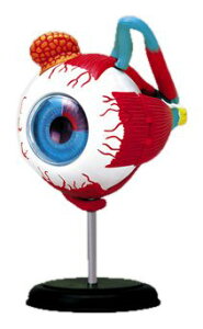 ̃pY 4D VISION l̉U No.02 ዅUf