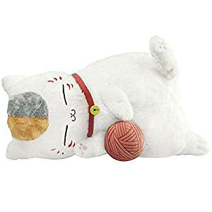 Ԃ ĖڗFl v`[݃jR搶 A jR搶ʂ ovXg Vi