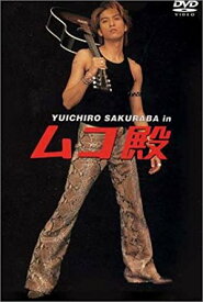 YUICHIRO SAKURABA in ムコ殿 DVD BOX　長瀬智也　新品