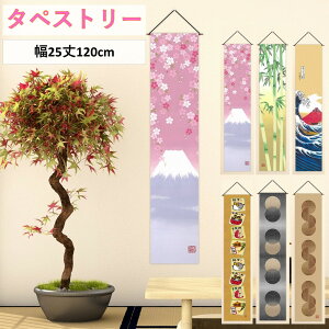 ^yXg[ CeA k  a Ǌ|  ~j J[e  킢  a NX}X [   25  120 cm