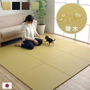 ���{�� ���@���ł��� �|���v���s���� �u���� ���j�b�g�� �V���v�� ��70×70cm 9P �i���F9���g�j
