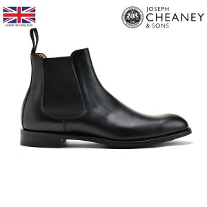 y10/30 23:59܂ Gg[yVJ[hpŃ|Cg+3{Ń|Cg4{zWZt`[j[ `FV[u[c Y TChSAu[c rWlXV[Y Sht[ vC ubN  J