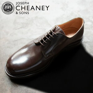 �W���Z�t�`�[�j�[ JOSEPH CHEANEY �E�F�CII ���C2 �h���X�V���[�Y �����Y �r�W�l�X�V���[�Y �v���[���g�D ���J WYE2�y���������z
